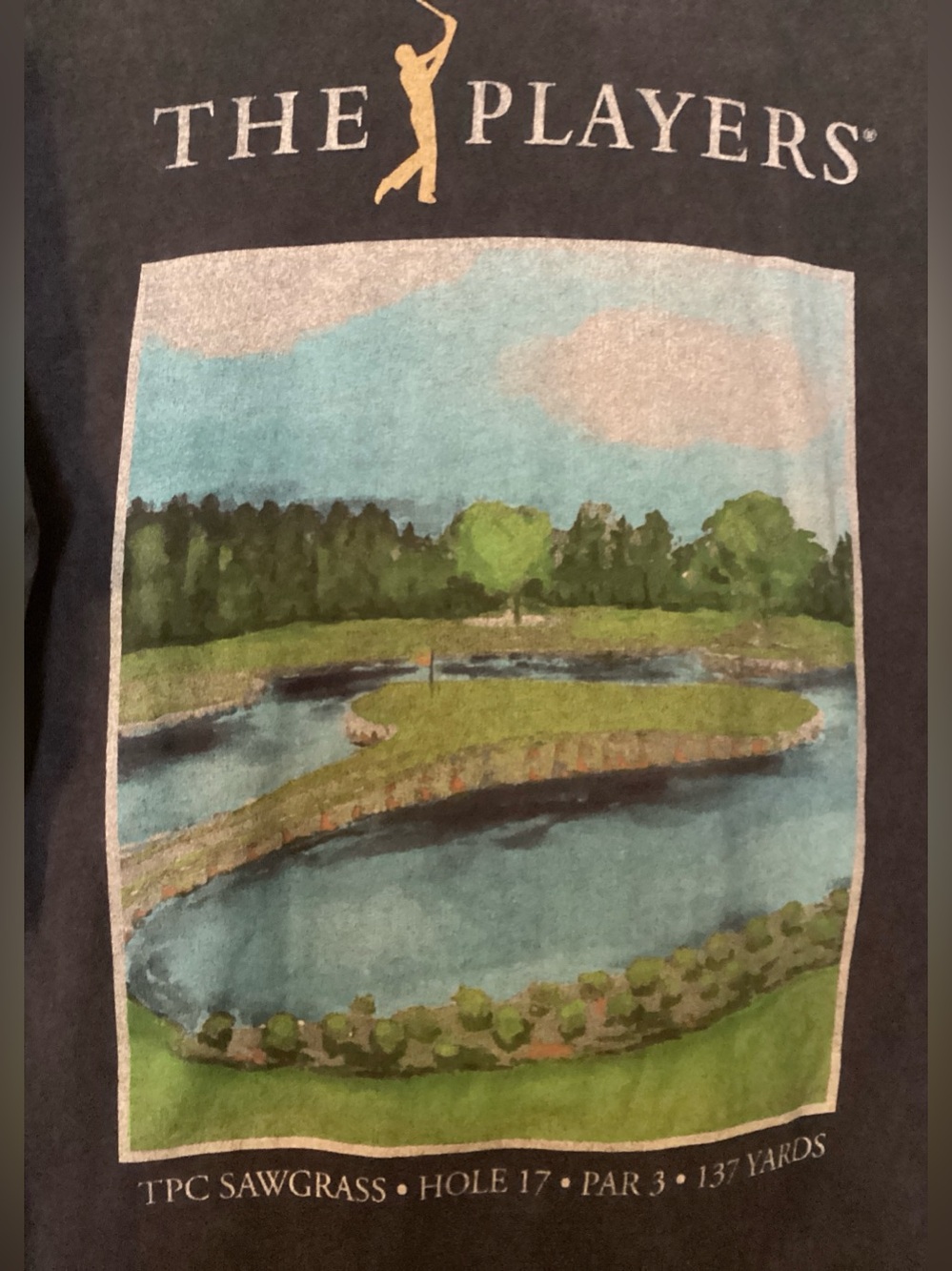 Abercrombie & Fitch PGA The Players Championship Tee Small - Picture 5 of 9